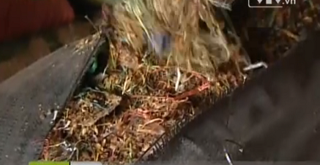 Nhiều bao cà phê trong kho của công ty Trường Ngân phát hiện chứa vỏ và rác. Nhiều bao cà phê trong kho của công ty Trường Ngân phát hiện chứa vỏ và rác.