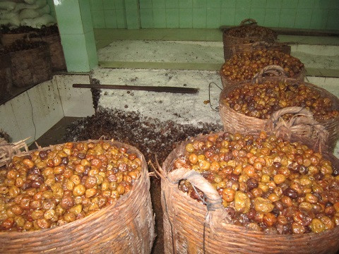 Một cơ sở sản xuất mứt, ô mai quận Bình Tân, TP.HCM. Nguyên liệu làm mứt được chứa trong những cần xé đầy cáu bẩn. Một cơ sở sản xuất mứt, ô mai quận Bình Tân, TP.HCM. Nguyên liệu làm mứt được chứa trong những cần xé đầy cáu bẩn.