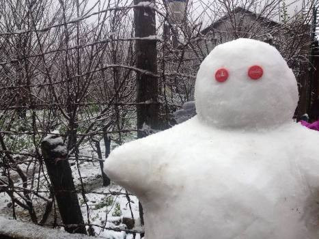 Người tuyết được người dân tạo thành tại Đèo Ô Qúy Hồ.