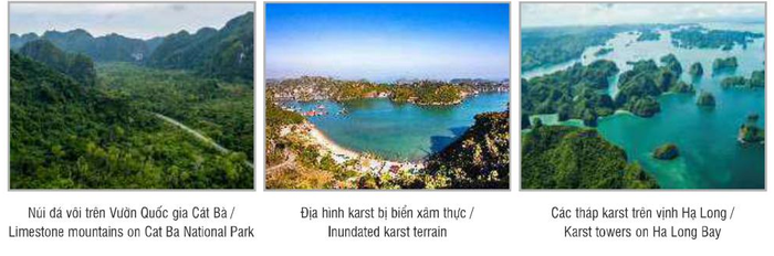 Vịnh Hạ Long - Quần đảo Cát Bà được xem là bảo tàng địa chất Vịnh Hạ Long - Quần đảo Cát Bà được xem là bảo tàng địa chất