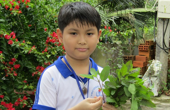 Duy với mồi nhử ruồi vang bằng lá é tía. Duy với mồi nhử ruồi vang bằng lá é tía.