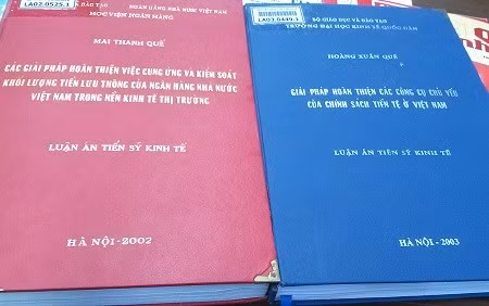 Hai quyển luận án có phần giống nhau, biểu hiện của "đạo văn" (Ảnh:nld.com.vn).