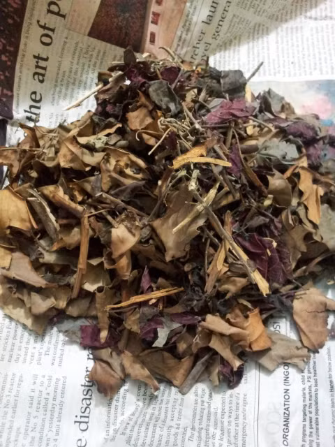 Những bài thuốc với đủ thứ "hoa lá cành" vẫn được quảng cáo chữa được nhiều thứ bệnh