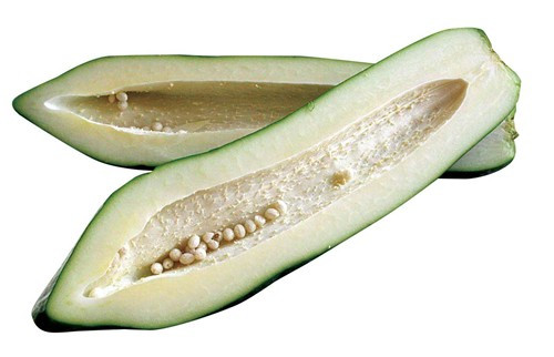 Đu đủ xanh sống có tác dụng hóa tiêu mạnh nhưng ăn nhiều thì xót ruột. Đu đủ xanh sống có tác dụng hóa tiêu mạnh nhưng ăn nhiều thì xót ruột.