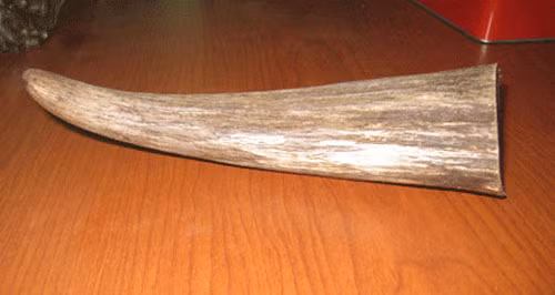 Một cách làm nhái sừng tê giác khá công phu khác là dùng sừng trâu bò, chế tác qua các công đoạn tạo dáng, tạo màu, đánh bóng... Những chiếc sừng này khá giống sừng tê giác thật, nếu không đem đi xét nghiệm gene thì khó có thể xác định. Một cách làm nhái sừng tê giác khá công phu khác là dùng sừng trâu bò, chế tác qua các công đoạn tạo dáng, tạo màu, đánh bóng... Những chiếc sừng này khá giống sừng tê giác thật, nếu không đem đi xét nghiệm gene thì khó có thể xác định.