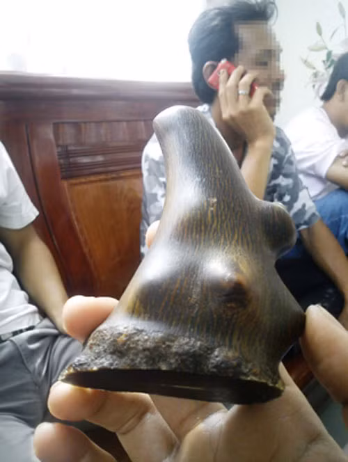 Những chiếc sừng như vậy chỉ lừa được những người thừa tiền và nhẹ dạ cả tin. Những chiếc sừng như vậy chỉ lừa được những người thừa tiền và nhẹ dạ cả tin.