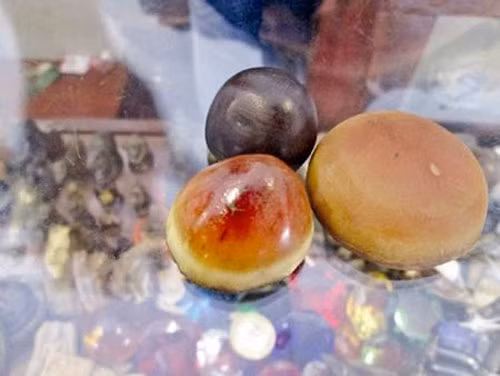 Sừng tê giác bị nghi là giả tại một cửa hàng mỹ nghệ. Sừng tê giác bị nghi là giả tại một cửa hàng mỹ nghệ.