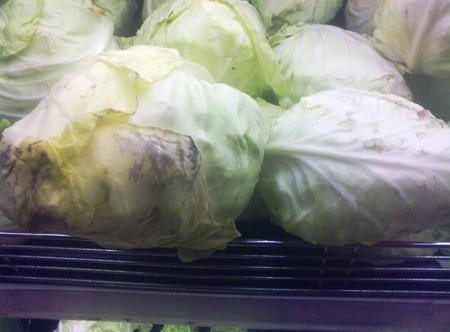 Ăn cải bắp thối có thể bị ngộ độc ôxy. Ăn cải bắp thối có thể bị ngộ độc ôxy.