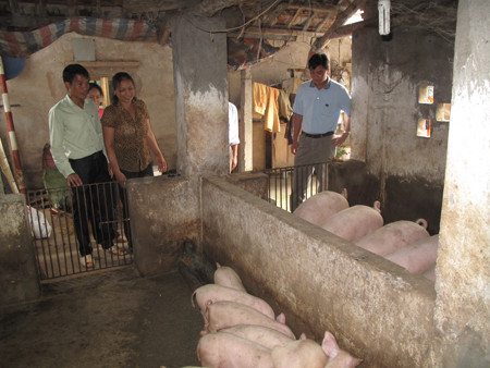 Ảnh minh họa. Ảnh minh họa.