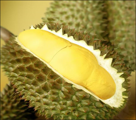 Mỗi chén sầu riêng chứa đến 80% nhu cầu vitamin C mà cơ thể cần mỗi ngày. Mỗi chén sầu riêng chứa đến 80% nhu cầu vitamin C mà cơ thể cần mỗi ngày.