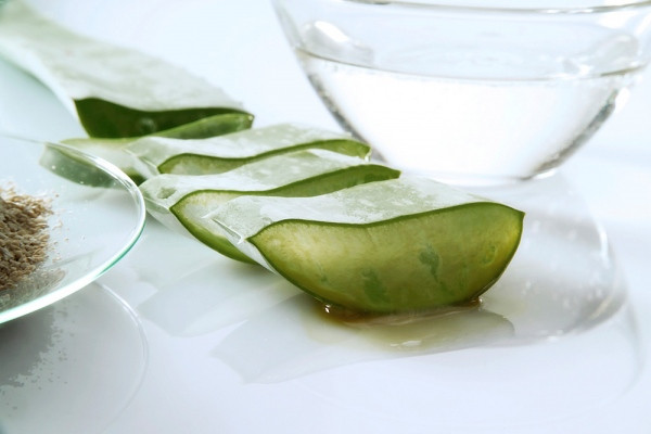 Nhờ chất glycoprotein, nha đam có tác dụng chống viêm và giải dị ứng, giúp làm lành vết thương. Nhờ chất glycoprotein, nha đam có tác dụng chống viêm và giải dị ứng, giúp làm lành vết thương.