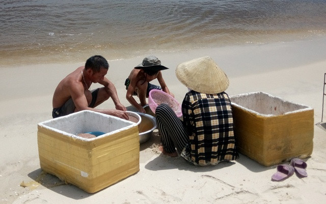 Báo động nạn bỏ học đi làm thuê ở Thừa Thiên-Huế ảnh 2 Báo động nạn bỏ học đi làm thuê ở Thừa Thiên-Huế ảnh 2