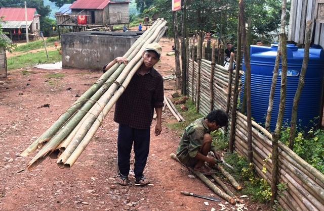 Người dân trong bản tự tìm tre, nứa rồi đến giúp thầy cô tu sửa lại hàng rào của ngôi trường.