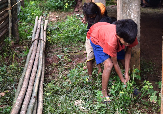 Học sinh nhổ cỏ, làm vệ sinh quanh trường.