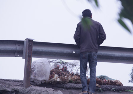 Từ vùng dịch đến… chợ gia cầm ảnh 3