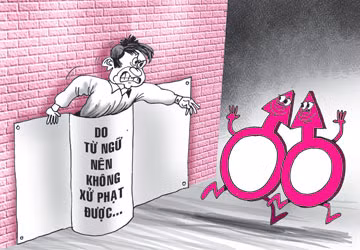 Mại dâm đồng tính nam - Bài 2: Sửa từ "giao cấu" trong luật? ảnh 2