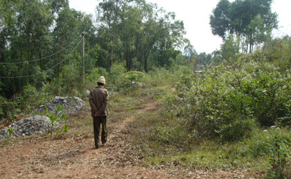 Bí ẩn ngôi đền thiêng và núi “vật” người ở Hải Phòng