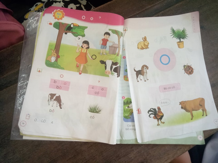 Sách rách thế này học sinh biết học sao? (Ảnh: Phan Tuyết)