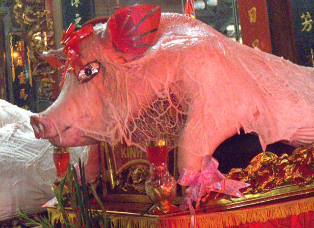 Các ông lợn sau khi tế xong sẽ được chia phần cho bà con trong xóm ngoài ra ban tổ chức sẽ chấm điểm lễ lợn của các xóm và chọn ra những ông lợn đẹp nhất để trao giải. Các ông lợn sau khi tế xong sẽ được chia phần cho bà con trong xóm ngoài ra ban tổ chức sẽ chấm điểm lễ lợn của các xóm và chọn ra những ông lợn đẹp nhất để trao giải.