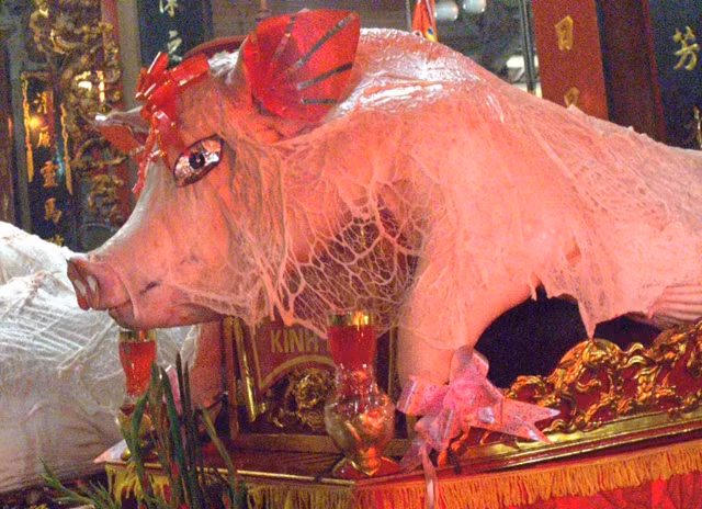 Các ông lợn sau khi tế xong sẽ được chia phần cho bà con trong xóm ngoài ra ban tổ chức sẽ chấm điểm lễ lợn của các xóm và chọn ra những ông lợn đẹp nhất để trao giải.