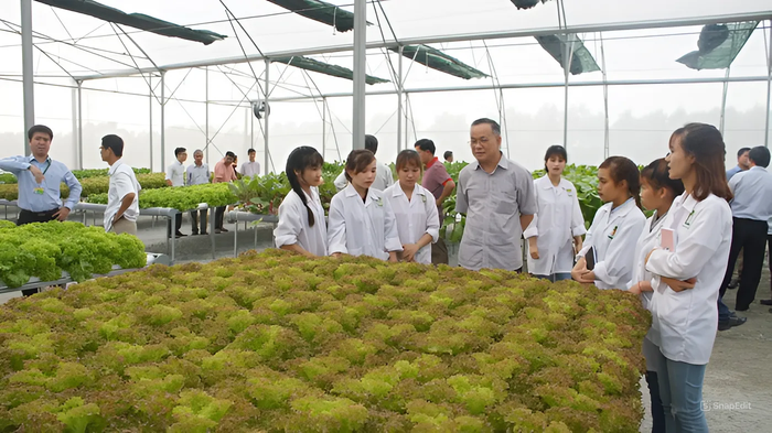 Sinh viên Trường Đại học Nông Lâm, Đại học Huế trong một buổi học. Ảnh: Website Trường Đại học Nông lâm, Đại học Huế. snapedit_1742670464043.jpeg