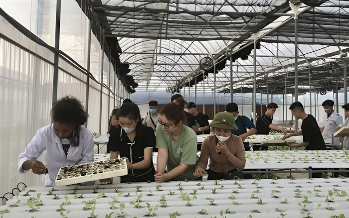 Sinh viên Trường Đại học Nông Lâm, Đại học Thái Nguyên trong một buổi học thực hành. Ảnh: website nhà trường. snapedit_1744775845520.jpeg
