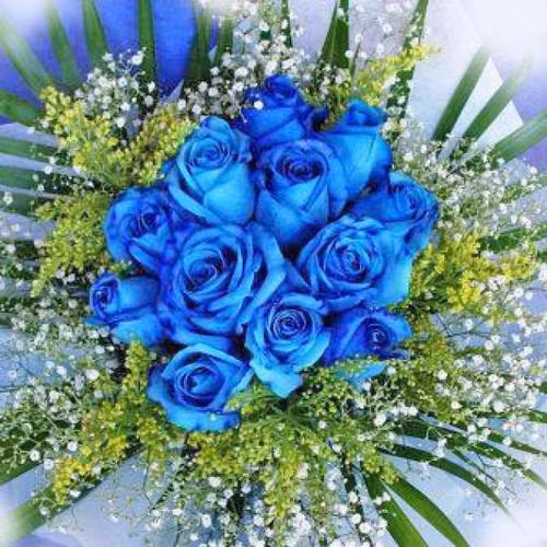 Hoa hồng xanh đang tạo nên cơn sốt trong mùa Valentine năm nay.