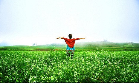 Mộc Châu là điểm đến hấp hẫn của dân phượt.