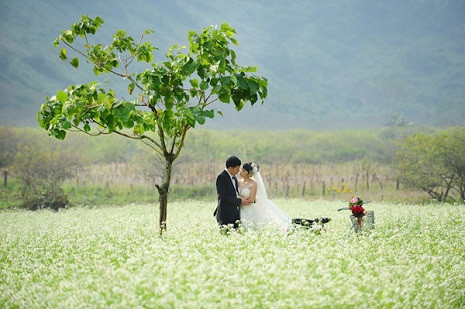 Và đây cũng là nơi được nhiều cặp đôi chọn để chụp ảnh cưới.