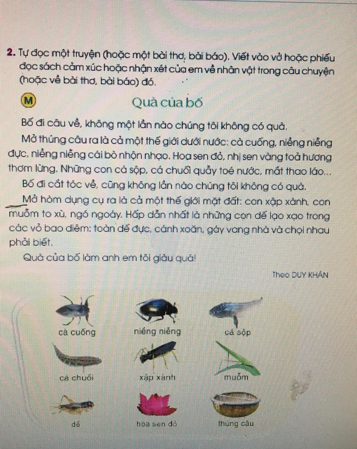 Bài Quà của bố là bài tập đọc trong chương trình hiện hành không mang tính phổ thông (Ảnh: Đỗ Quyên)