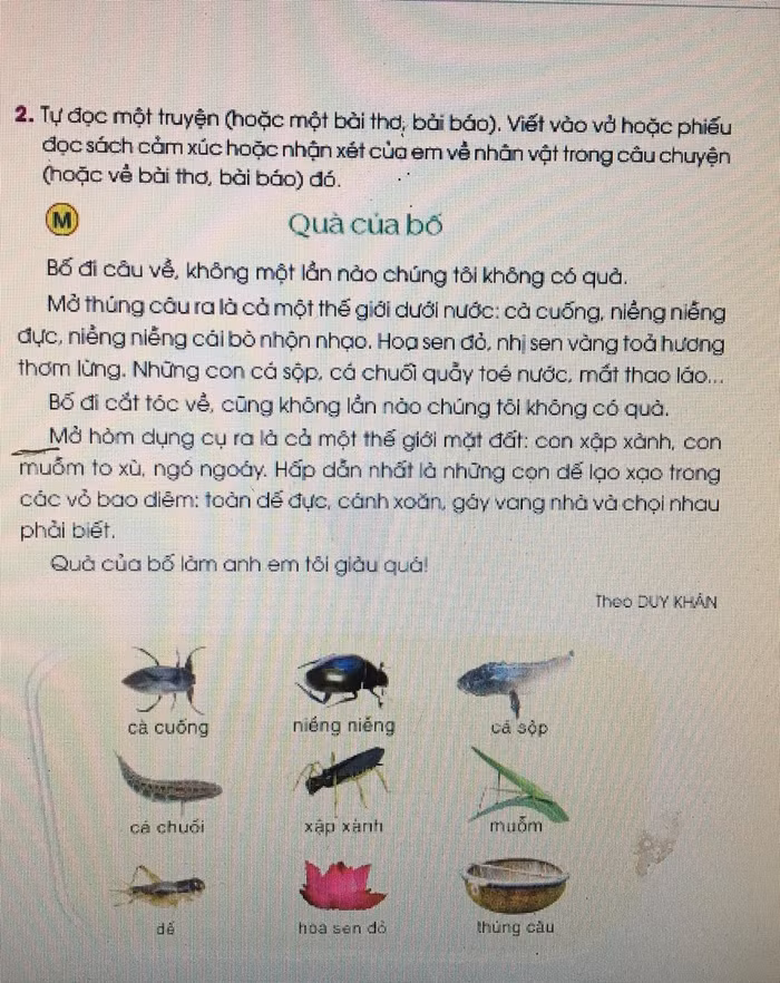 Bài Quà của bố là bài tập đọc trong chương trình hiện hành không mang tính phổ thông (Ảnh: Đỗ Quyên)