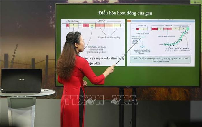 Hình ảnh chỉ mang tính chất minh họa, ảnh: Thanh Tùng / TTXVN. Hình ảnh chỉ mang tính chất minh họa, ảnh: Thanh Tùng / TTXVN.