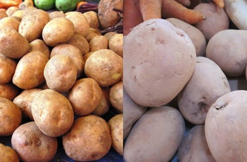 Khoai tây Trung Quốc có vài loại, trong ảnh (phải) là giống khoai ruột trắng ăn nhạt, sượng. Khoai tây Đà Lạt (trái) vỏ mỏng, dễ bong tróc, mắt khoai nhỏ, ruột vàng, ăn bở.