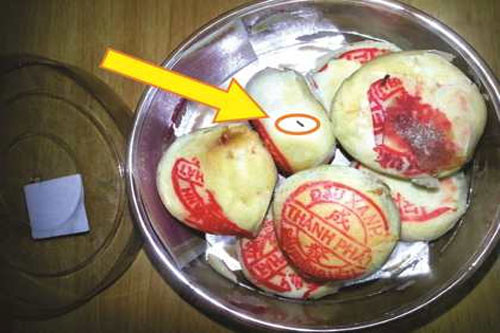 Chiếc bánh mốc có rất nhiều côn trùng. Chiếc bánh mốc có rất nhiều côn trùng.