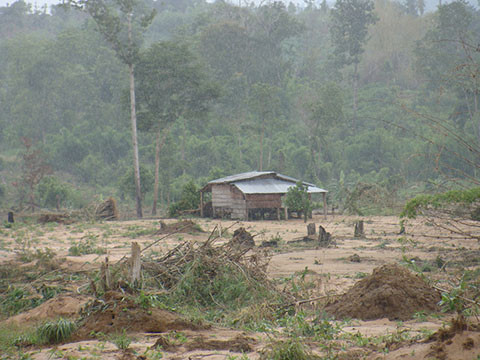 Những nhà chòi của người dân hai bên suối sáng nay bị ngập và cô lập hoàn toàn. Những nhà chòi của người dân hai bên suối sáng nay bị ngập và cô lập hoàn toàn.