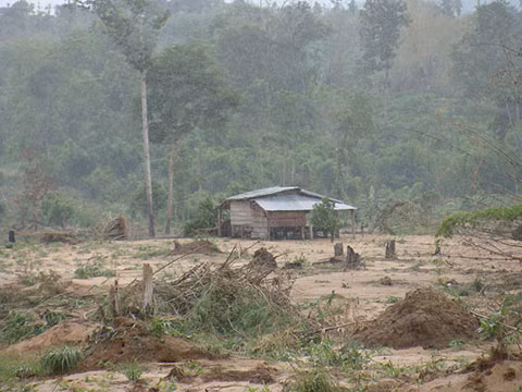 Những nhà chòi của người dân hai bên suối sáng nay bị ngập và cô lập hoàn toàn.