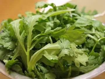 Nếu bị đau nhức đầu kinh niên thì lấy lá cải cúc hơ nóng đắp lên hai bên thái dương và đỉnh đầu vào buổi tối trước khi đi ngủ.