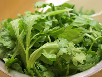 Nếu bị đau nhức đầu kinh niên thì lấy lá cải cúc hơ nóng đắp lên hai bên thái dương và đỉnh đầu vào buổi tối trước khi đi ngủ. Nếu bị đau nhức đầu kinh niên thì lấy lá cải cúc hơ nóng đắp lên hai bên thái dương và đỉnh đầu vào buổi tối trước khi đi ngủ.