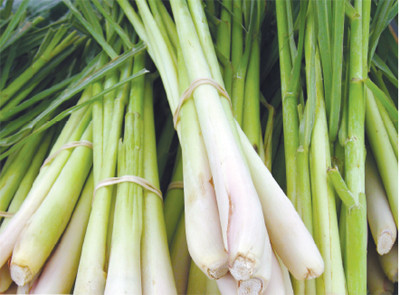 Mỗi 100g sả chứa đến 24,205µg beta-carotene – là chất chống oxy hóa mạnh mẽ có thể giúp ngăn ngừa ung thư. Mỗi 100g sả chứa đến 24,205µg beta-carotene – là chất chống oxy hóa mạnh mẽ có thể giúp ngăn ngừa ung thư.