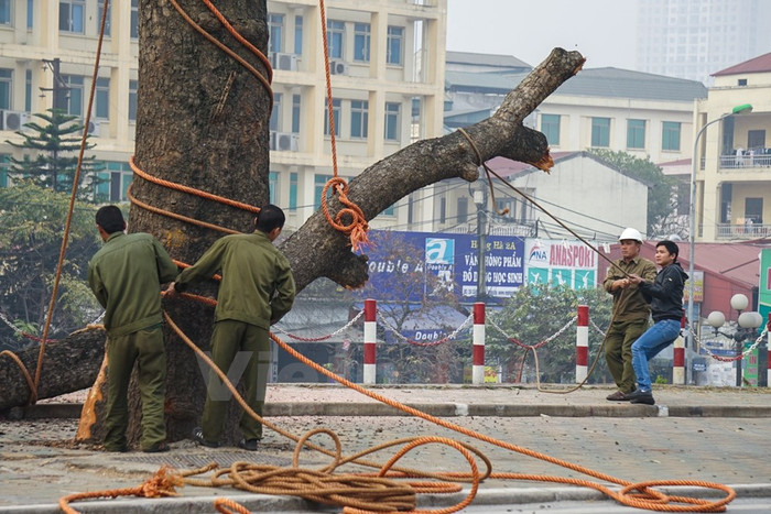 6 phát ngôn "đặc biệt" của ông Phan Đăng Long ảnh 3