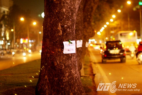 Người dân thủ đô xuống đường dán poster bảo vệ cây xanh (Ảnh: VTC News) Người dân thủ đô xuống đường dán poster bảo vệ cây xanh (Ảnh: VTC News)