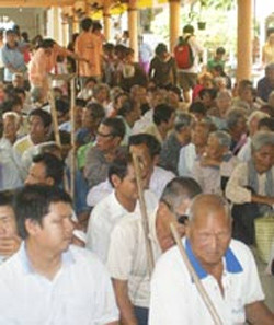 Huyện có hàng nghìn người mù vì... hành, Tin tức trong ngày, nguoi mu, huyen co nhieu nguoi mu, trong hanh, phan hanh, vinh chau, thu phu hanh tim, bao, tin tuc, tin hot, tin hay, vn