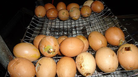 Nguy hiểm trứng độc trên đường phố ảnh 1 Nguy hiểm trứng độc trên đường phố, Tin tức trong ngày, trung doc, duong pho, trung khong long do, trung nuong, ngo doc thuc pham, ve sinh an toan thuc pham, thuc an duong pho, tin tuc, tin nhanh, tin hot, vn