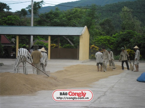 Một cảnh lao động của các phạm nhân ở Trại giam số 3.