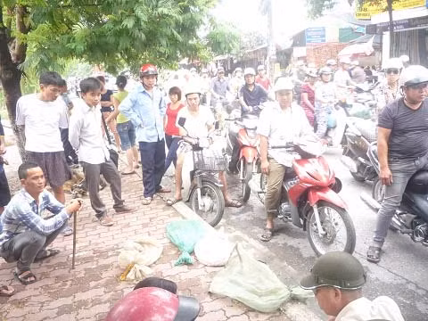 Công khai bán rắn trên vỉa hè Thủ đô, Tin tức trong ngày, ban ran, ban dong vat, ran, ran quy, bao, tin tuc, tin hot, tin hay, vn