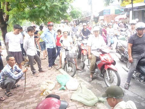 Công khai bán rắn trên vỉa hè Thủ đô ảnh 4 Công khai bán rắn trên vỉa hè Thủ đô, Tin tức trong ngày, ban ran, ban dong vat, ran, ran quy, bao, tin tuc, tin hot, tin hay, vn