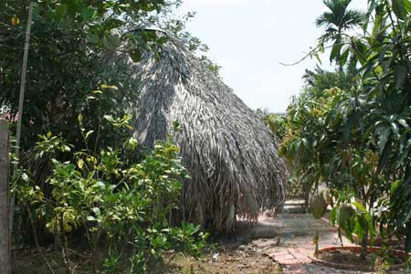 Đổi vợ: Thú chơi biến thái ở Sài Gòn ảnh 1 Đổi vợ: Thú chơi biến thái ở Sài Gòn, Tin tức trong ngày, doi vo, thu choi bien thai, doi vo lam tinh, nhom swing, thu an choi sa doa, goa phu, boa, tin tuc, tin hot, tin hay, vn