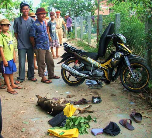 Những tay trộm chó liều lĩnh, manh động ảnh 1 Những tay trộm chó liều lĩnh, manh động, Tin tức trong ngày, thit cho, cay to bay mon, lang thit cho, lang cao ha, an thit cho, doi cho, tiet canh cho, trom cho, cau tac, long lon tiet canh, thit cay, bao, tin hay, tin hot, tin tuc, vn