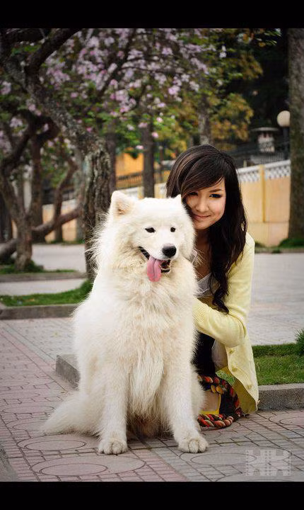 Nhiều người yêu thích vẻ đẹp dễ thương của cô toát lên từ những bức hình này của cô. Nhiều người yêu thích vẻ đẹp dễ thương của cô toát lên từ những bức hình này của cô.