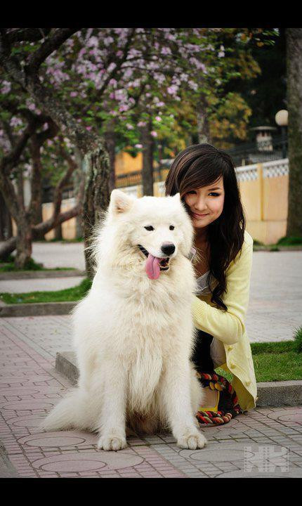 Nhiều người yêu thích vẻ đẹp dễ thương của cô toát lên từ những bức hình này của cô. Nhiều người yêu thích vẻ đẹp dễ thương của cô toát lên từ những bức hình này của cô.